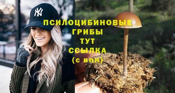 шишки Магадан