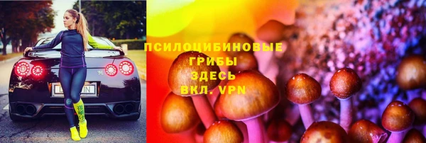 ешки Мегион